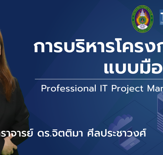 การบริหารโครงการ IT แบบมืออาชีพ